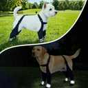 Dog Suspender Boots for Large Dogs Waterproof & Non-Slip Dog Paw Protectors with Adjustable Straps & Reflective Strips, All-in-One Connected Dog Boots for Outdoor Walks, Snow, Rain, Hiking (XL)