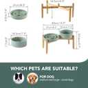 Havniva Ceramic Raised Slow Feeder Dog Bowl Set, Elevated 7.3inch Bowl and 8.2inch Puzzle Slow Dish with Wooden Stand for Medium and Large Dog, Anti-Gulping (2X Light Green+ Stand)