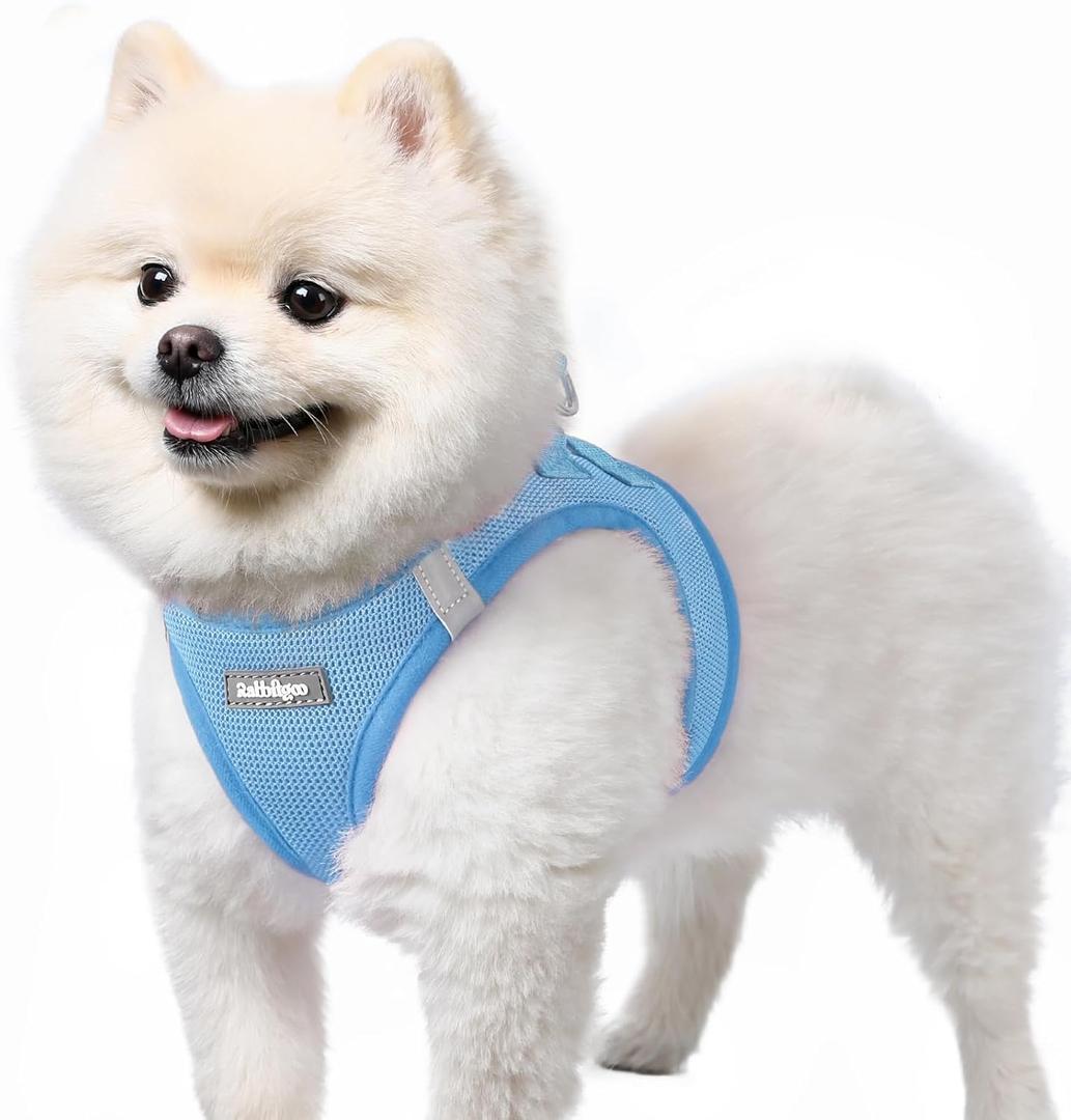 rabbitgoo Small Dog Harness, Step-in Soft Mesh Puppy Vest with Safety Buckle, Breathable Reflective Pet Harness for Small Sized Dogs, Blue S (S(Chest:15.1"-16.5"))