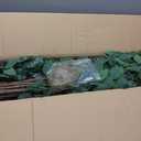 6ft Artificial Ficus Silk Tree (72in) with Plastic Nursery Pot Faux Tree, Fake Plant for Office House Farmhouse Living Room Home Decor (Indoor/Outdoor)