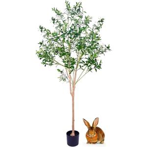 JUSTOYOU Artificial Olive Tree 6 Feet Fake Topiary Olive Trees Faux Tree Plants in Pot Olive Fruits and Leaves Tree for Indoor Outdoor Decor Home Office Garden Modern Decoration Housewarming Gift JUSTOYOU Artificial Olive Tree 6 Feet Fake Topiary Olive Trees Faux Tree Plants in Pot Olive Fruits and Leaves Tree for Indoor Outdoor Decor Home Office Garden Modern Decoration Housewarming Gift