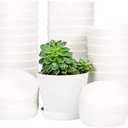 Amazon.com : TDHDIKE 25 Pcs Plastic Planters Indoor Flower Plant Pots, Mini Flower Seedlings Nursery Pot with Pallet, Modern Decorative Gardening Containers (White, 25) : Patio, Lawn & Garden