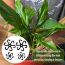 2 x BOXOB 4pcs Plant Stem Support, Acrylic Reusable Leaf Holder with Holes 2 Size Flowers Stabilizer Grapple Stake Accessories Essentials for Thriving Indoor Growth(Black)