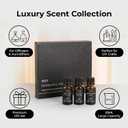 Essential Oils Set - Top 10 Luxury Scents for Diffuser, Humidifier, Aromatherapy, Candle & Soap Making, Premium Scented Oil Gift Set for Home & Office, Inspired by Luxury Brand perfumes(20ML)