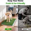 Artificial Pee Grass Pad for Dogs, Fake Grass Replacement Pads for Dog Potty Tray Training Pet Turf, Indoor and Outdoor Mat- 2 Packs (14" x 18")