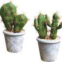 Fcooler Artificial Succulent Plants Faux Cactus Decorative Potted Fake Cacti with Pots Rock Sand Included Artificial Plants for Bathroom/Home Decor House Decorations(A Set)