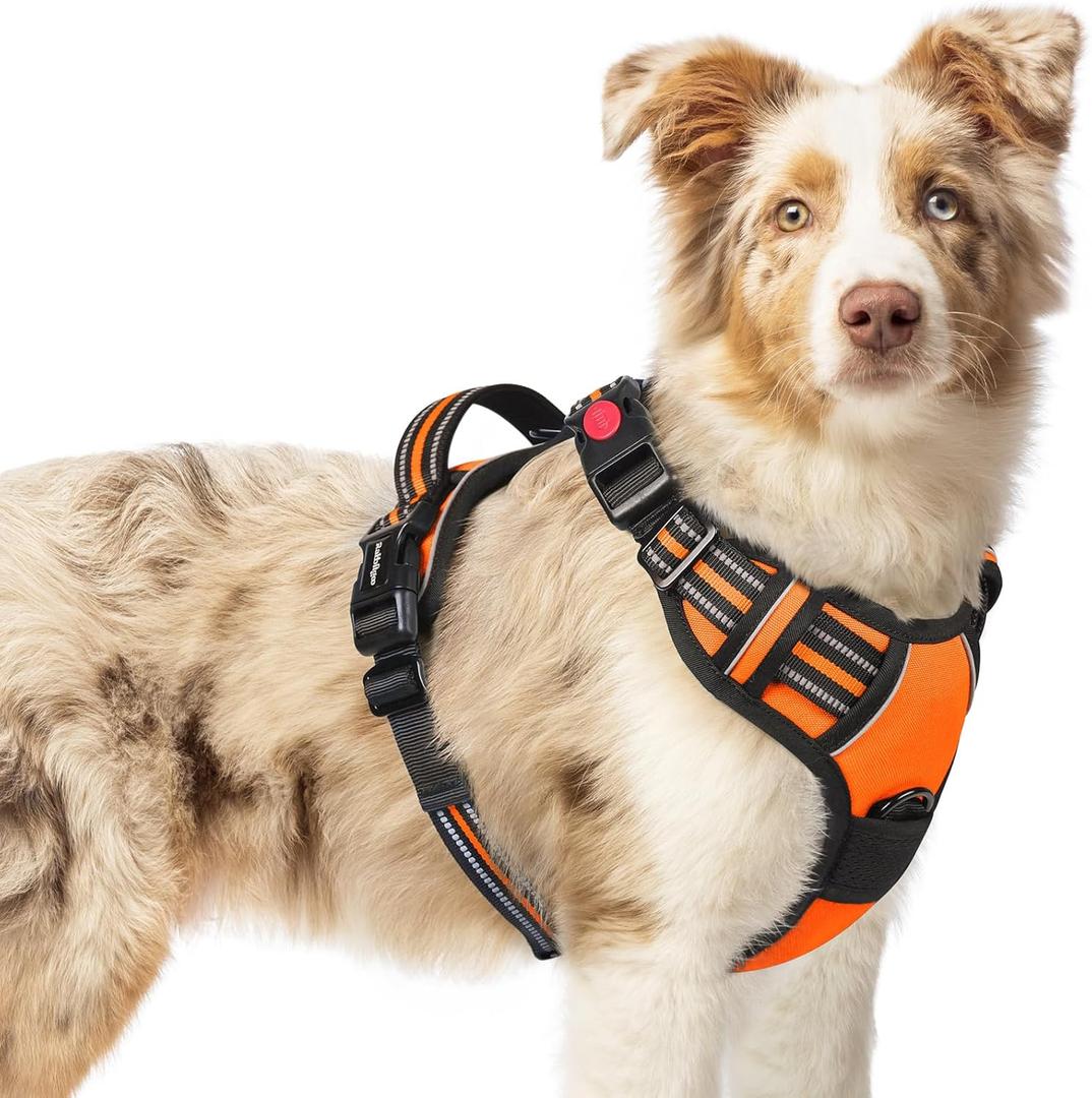 rabbitgoo Dog Harness for Large, No Pull Pet Harness with 3 Buckles, Adjustable Soft Padded Pooch Vest with Instant Control Handle, Easy Walking Reflective Pet Vest for Large Dogs, Orange, L