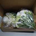 Luyue 2 Packs Peonies Artificial Flowers Vintage Faux Peony Bouquet Fake Flower for Vase Silk Floral Arrangements for Table Centerpiece Wedding Decoration Indoor Home Decor