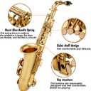 Gold E Flat Alto Saxophone Brass Engraved Eb E-Flat Natural White Shell Button Wind Instrument with Case Belt Brush