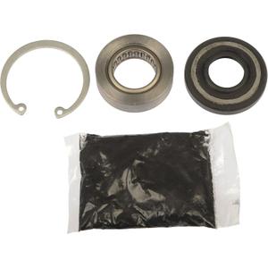 Dorman 905-515 Power Steering Rack Input Shaft Bearing and Seal Compatible with Select Models