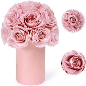 ANLUNOB 20 Flesh Pink Roses Forever Flowers Gift for Women Mother Day Flower Gift for Mom Birthday Valentines Day Gifts for Mom Women Grandma Sisters Daughter