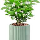 Flowers and Succulent Plant Pots, Ceramic flower Pots and Drainage Hole, Bonsai Planter Large Flower Pots for Indoor Outdoor Use for Home Office Garden Decoration,Plants not included (Green)