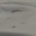 Taygeer Laptop Backpack Purse for Women, Backpack for College Essentials with 15.6inch Laptop Compartment, Travel Bag Airline Approved CarryOn Work Bag for Nursing Doctor Business Travel, Brown (Large)