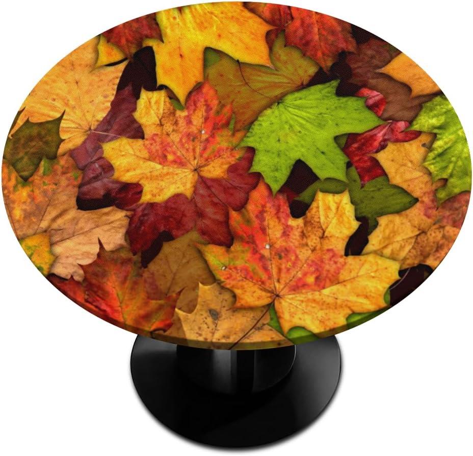 Pardick Round Fitted Tablecloth with Elastic Edged Fall Autumn Leaves Outdoor Tablecloth Waterproof Wipeable Table Cloth for Indoor Outdoor Party Picnic Camping Dinner Wedding 40"-44"