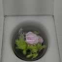 Roses Gifts for Her, Rose in Glass Dome with LED Light - Gifts for Women Mom Grandma Her Girlfriend Wife