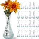 Glass Bud Vases in Bulk Set of 24, Small Glass Vases for Flowers Mini Clear Bud Vases for Centerpieces Vintage Vases for Wedding Home Table Decorations