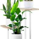 5 Tier Wood Tall Plant Stand Metal Rack Indoor, Multiple Flower Pot Holder Shelves Corner Rack, Planter Shelf Display Rack Storage Organizer for Patio Living Room Balcony Garden(White Oak)