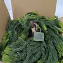 Qian Yun Real Touch Norfolk Pine Garland Realistic Christmas Greenery Garland for Table Mantle Fireplace Indoor Outdoor Xmas Decor