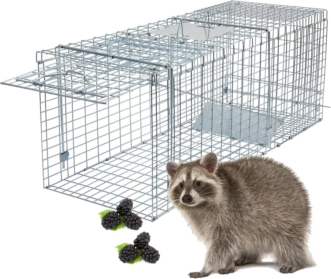Heavy-Duty Live Animal Trap Cage, 37" X 13" X 14.5", Large Foldable Humane Live Animal Trap. Great for Catch and Release of Raccoons, Stray Cats, Squirrels, Rabbits, Skunks, Woodchucks