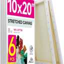 PHOENIX Long Stretched Canvas for Painting 10x20 Inch/6 Value Pack, 8 Oz Triple Primed 5/8 Inch Profile 100% Cotton White Blank Canvas, Rectangular Framed Canvas for Oil Acrylic & Pouring Art