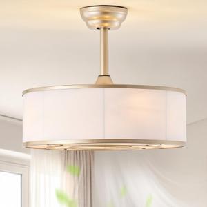 20" Caged Gold Fandelier Ceiling Fans with Lights, Boho Ceiling Fan with Light Remote Control, Mid-Century Chandelier with 6 Speeds for Bedroom,Living Room, Nursery