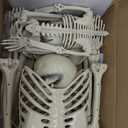5.4Ft & 3Ft Skeleton for Halloween Decoration
