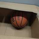 Wilson Evolution Basketballs, Size 6 