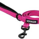 Best Pet Supplies Voyager Reflective Dog Leash or Collar with Neoprene Handle, for Small, Medium, and Large Breed Puppies, Cute and Heavy Duty for Walking, Running and Training - Fuchsia Leash, L (Leash (1" x 6 ft))