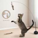 Suction Cup Cat Toys for Indoor Cats,3 in 1 Interactive cat Toys for Indoor Cats,Self Play or Handheld,Feathers & Bells,Realistic Toy Mouse and Silvervine SticksBlack