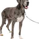 PetSafe Gentle Leader Headcollar No-Pull Dog Collar - Helps Improve Walks - Durable Nylon Construction - Padded Nose Loop - Adjustable Fit - Comfort Walking Halter - X-Large, Black