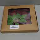 Burgundy Artificial Flowers Velvet Roses 25 PCS Real Look Silk Flowers with Stems for DIY Wedding Party Baby Shower Home Decoration(Burgundy)