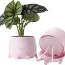 TOPOLA Happy Face Planter, 5.2 Inches Plastic Plant Pot, Self Watering Plant Pot with Drainage Holes for Indoor Outdoor, Succulent Pot, Funny Flower Pot, Sakura