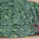 28.5" Artificial Cypress Trees Set of 2 UV Resistant Cedar Evergreen