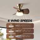 20Inch small Ceiling Fan, 3 ABS Blades, LED Ceiling Fan,can be Controlled by Remote Control, Suitable for Bedroom, Living Room and Kitchen.