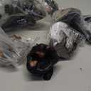 FUNSHOWCASE African Jungle Animals Toy Chimpanzees and Gorilla Figure Realistic Plastic Figurine Playset Lot 10-Piece