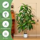 Artificial Dracaena Tree 5FT Tall Artificial Indoor Tree, Large Indoor Plant for Living Room & Home Decor, Big Faux Floor Plant for Bedroom, Office, Apartment, Realistic Tree Decor Indoor