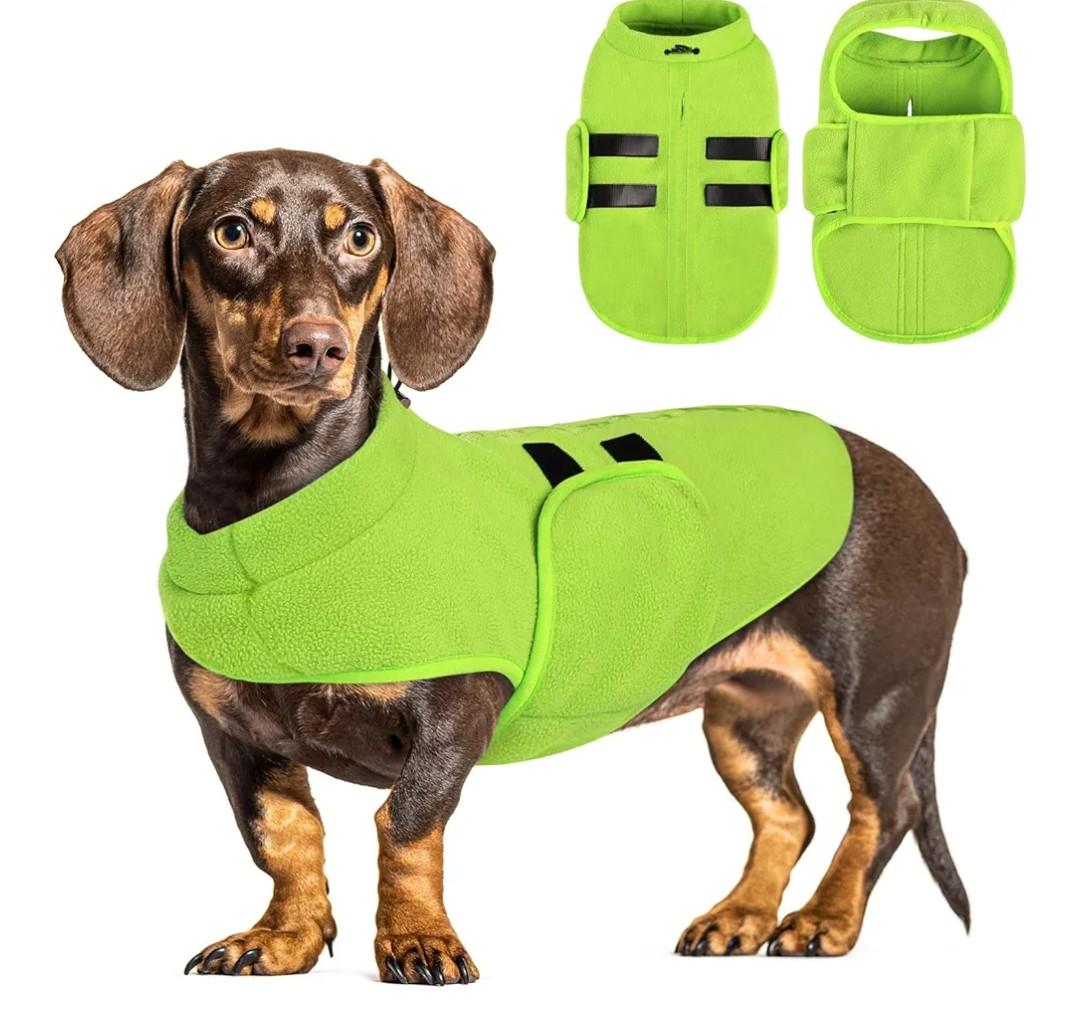 Queenmore Soft Fleece Dog Jacket, Warm Winter Dog Clothes with Leash Hole, Dachshund Sweater for Small Dogs Cats Boy or Girl (Green, xxs)