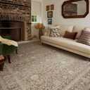 Loloi Chris Loves Julia Ida Collection IDA-03 Bark/Multi 2'-7" x 8'-0", .19" Pile Height, Runner Rug