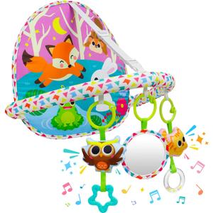 OKOOKO Car Seat Toy Rear Facing Car Seat Toy Baby Travel Toy Double-Sided with Baby Mirror Plush Toys Rattle Teether Thickened Pad Adjustable Sensory Toy for Newborn Infant