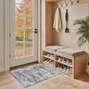 2x3 Small Area Rug for Front Door, Indoor Entrance, Washable Low-Pile Non-Slip Carpet, Durable Rug for Bathroom, Bedroom, Bedside, Kitchen, Grey