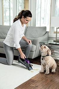 Bissell 2054 Pet Stain Eraser Advanced Cordless Portable Spot and Carpet Cleaner