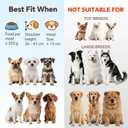 Elevated Ceramic Dog Bowl with Metal Stand - Raised Feeding Dish for Small and Medium Dogs - Ideal for Food or Water - Each Holds 600ml / 3.2 Cups (Approx. 320g) - White