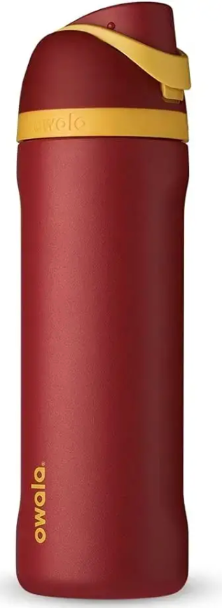 Owala Disney Princess FreeSip Insulated Stainless Steel Water Bottle with Straw for Sports and Travel, BPA-Free Sports Water Bottle, 24 oz