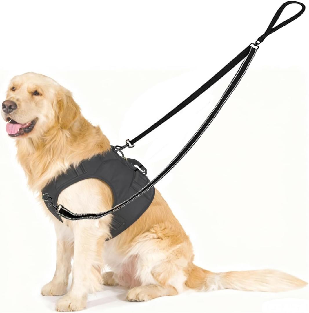 Two Point Control Dog Leash,No Tangle Dog Training Leashes,4ft Black Dog Leash Converts to Single Training Leashes for Medium Large Dogs