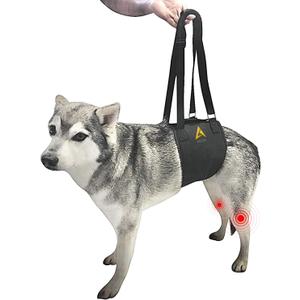 AGON Canine Dog Sling Carrier Support Back Legs Hip Knee Hock Joint Harness to Help Lift Dogs Rear Aid and Old K9 Cruciate (Medium, Black)