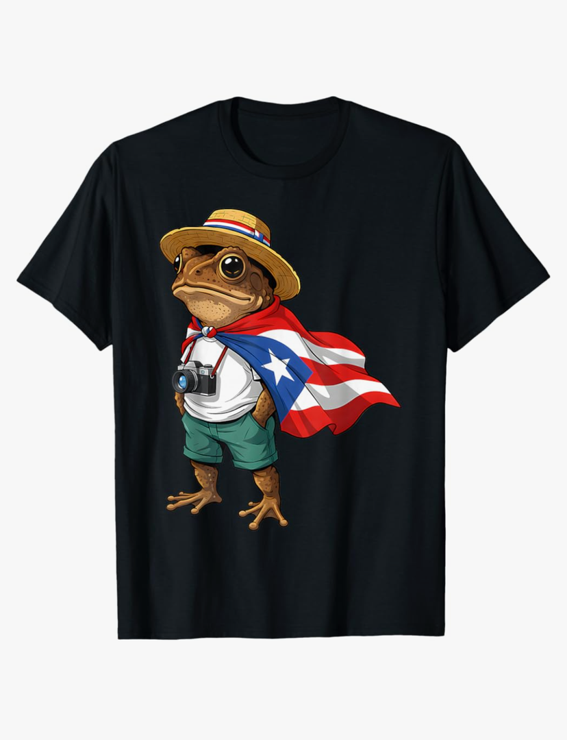 Coqui Frog Puerto Rico Flag Puerto Rican Taino Boricua T-Shirt, Size XL