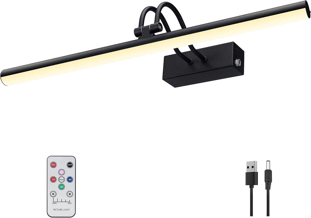 RAIFOOLLY Picture Light, Picture Lights for Wall Cordless, 20inch Picture Lights with Timer and Dimmable, Battery Wall Lights for Display Gallery Painting Art Frame Portrait - Black Metal