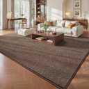 Pettop 5x7 Brown Area Rugs for Living Room Bedroom, Thickened Memory-Foam Throw Carpet, Modern Minimalist Super Soft Kids Boys Girls Rug, Non-Slip and Washable Carpets for Dorm Home Decor
