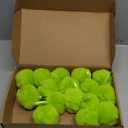 16 Pcs Lime Green Christmas Balls Ornaments 2.36 Inch Hanging Furry Christmas Tree Ball Faux Fur Pom Pom Hanging Ornaments for Xmas Indoor Wreath Fireplace Home School Office Decor