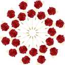 M METERXITY 48-Pack Flower Lapel Pins for Men, Golden Leaf Rose Boutonnieres Pin Groom Boutonnieres for Wedding/Dance/Party, Men Lapel Pins for Suits Satin Flower Corsage [Wine Red]